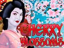Cherry Blossoms – игровой автомат 777 онлайн на игровом портале
