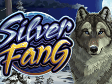 Silver Fang от Microgaming – автомат для членов клуба
